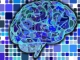 Neuralink: jöhet a második agyi beültetés