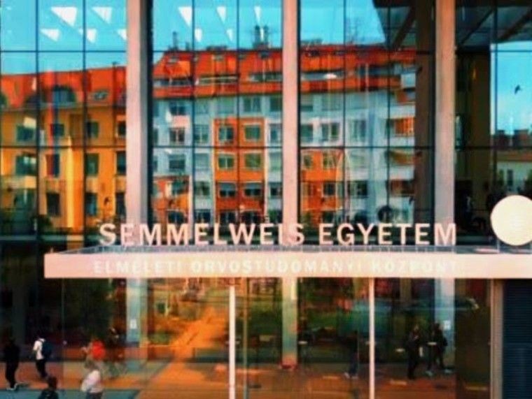 Ingyenes online nyílt napot szervez a Semmelweis Egyetem