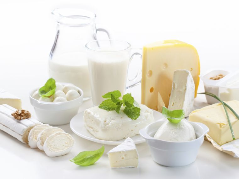 Egészségvédő tejtermékeket fejlesztettek Kaposváron