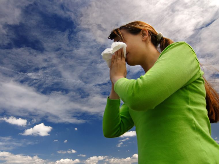 NNK: allergiás tüneteket okoznak a fűfélék, magas a pollenterhelés