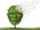 A BCG-oltás csökkenti a demencia kialakulásának kockázatát