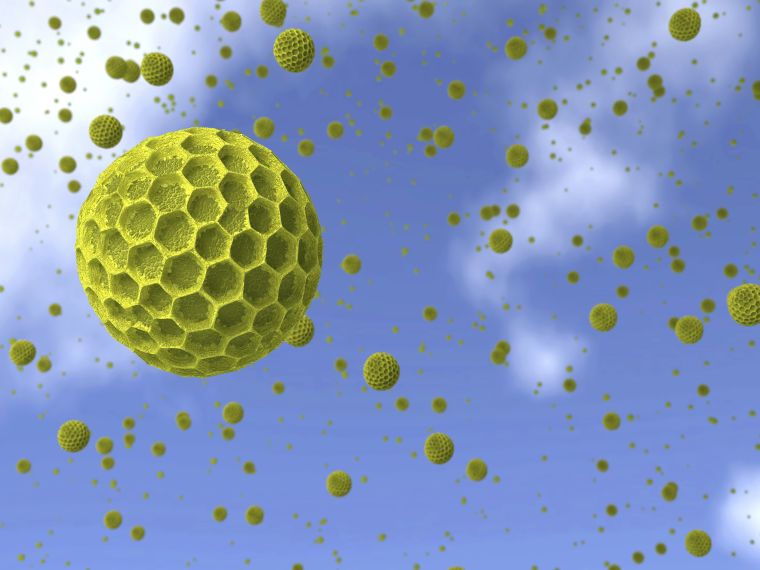 Apró trükkökkel is könnyebb lehet a pollenszezon