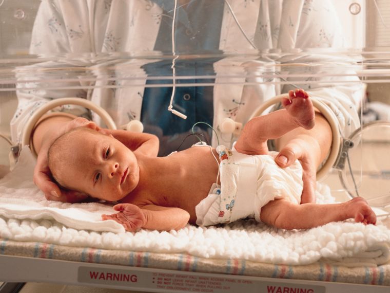Ez a sors vár az inkubátorban talált újszülöttre