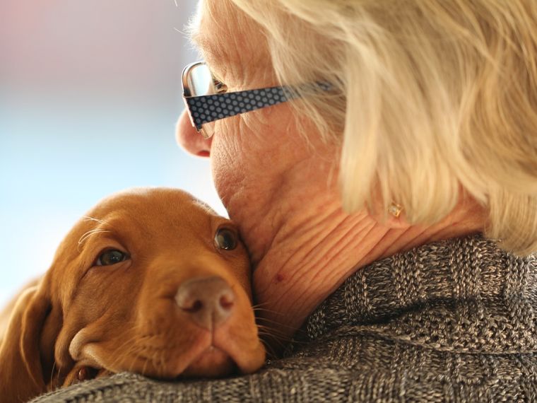 Terápiás kutyák segítik az afáziával élők rehabilitációját