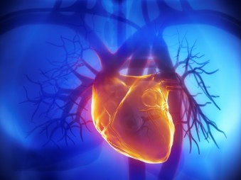 Veszélyezteti-e Önt a szívbillentyű betegség?