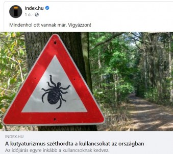 Mit tudunk a Franciaországban talált Ebola-szerű vírusról?