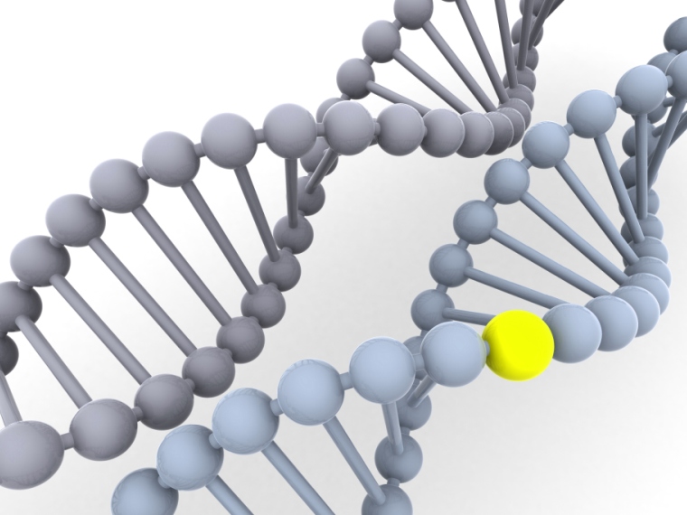 Jóváhagyták a sarlósejtes vérszegénység elleni CRISPR génterápiát