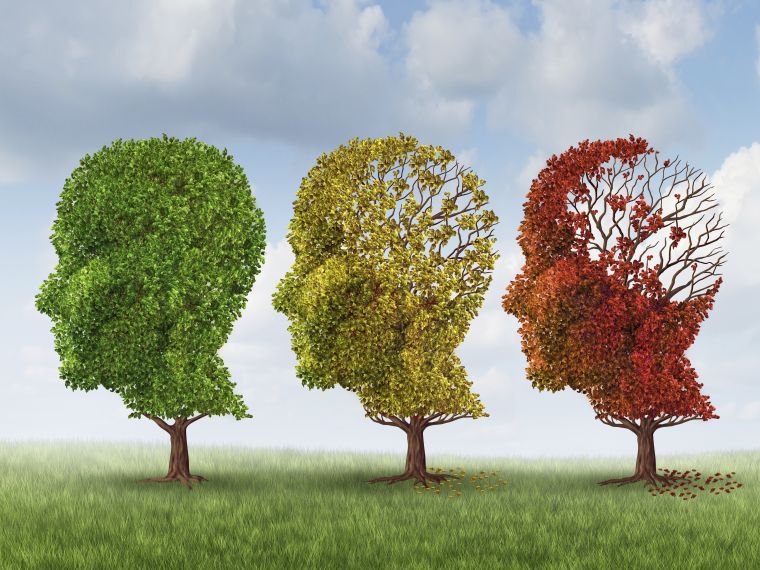Az Alzheimer-kórnak már 20 évvel korábban vannak jelei