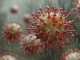 Az egyik legveszélyesebb vírusos betegség a hepatitis