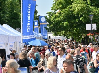 Ősszel újabb városokban folytatódik a Richter Egészségváros program