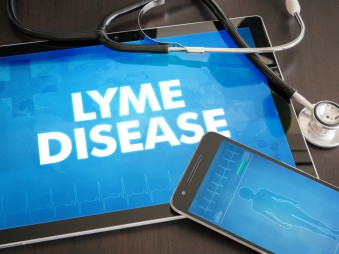 Miért lesz egyre több sztár Lyme-kóros?