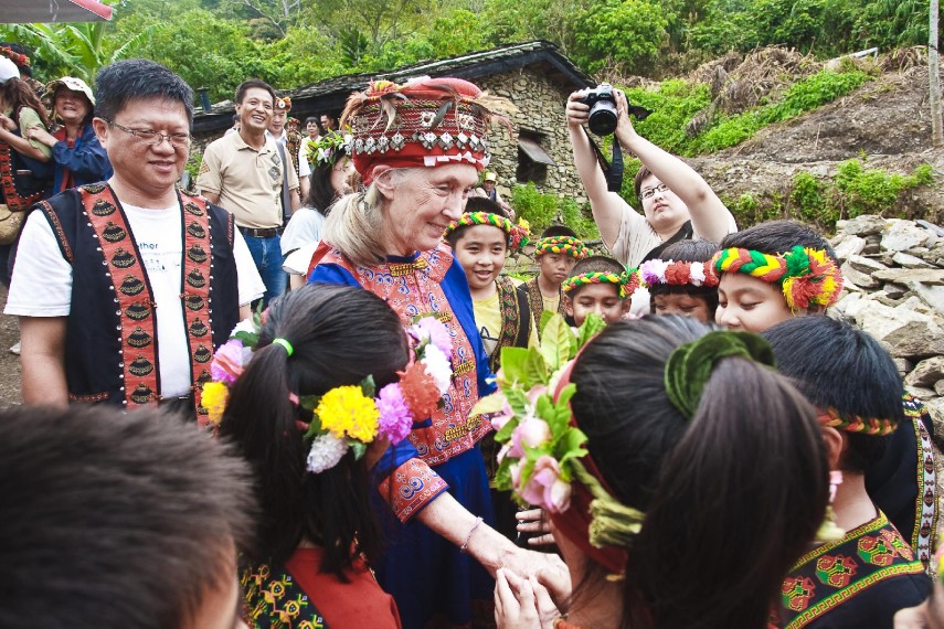Állatok Világnapja: Emlékezzünk Jane Goodallra
