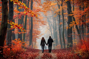 A parlagfűszezon elmúlt, az allergia maradt? Penészgomba okozhatja