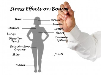 A stressz, mint biológiai folyamat – mit tesz a szervezettel a krónikus feszültség?