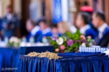 A Semmelweis Egyetem tizennégy elismert szakembert tüntetett ki díszdoktori címmel