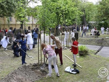 Fákat és virágokat ültettek a Dél-pesti Centrumkórház kertjében