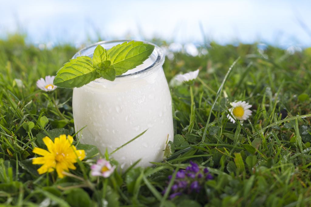 Napi egy pohár natúr joghurt – ezért érdemes rendszeresen fogyasztani