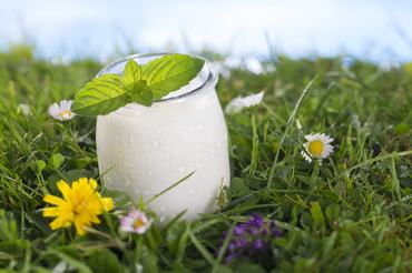 Egy pohár natúr joghurt levél díszítéssel, virágok között, kék éggel és felhőkkel a háttérben
