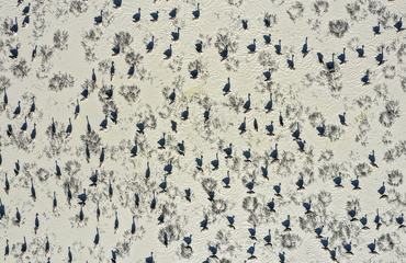 Palcsek István Egyenletes eloszlás