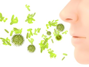 Feltérképezik a hazai allergiás betegeket