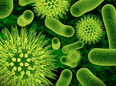 Tovább emelkedett a szamárköhögéses esetek száma