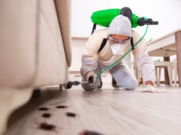 Kiszivárgott a jelentés a kórházi csótányokról