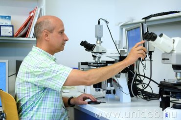 A gyógyíthatatlan ALS kialakulásának molekuláris oka összetett