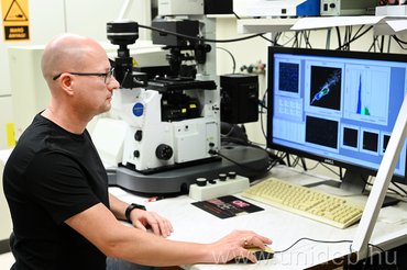 Új lehetőségek a génszabályozásban