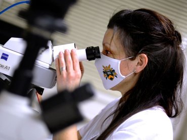 Új gyógyszerek születhetnek az üzbég kapcsolatból