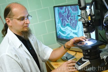 DE: Új távlatok a porckopás gyógyításában