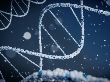 Négyszeres DNS-láncot találtak egészséges emberi sejtben