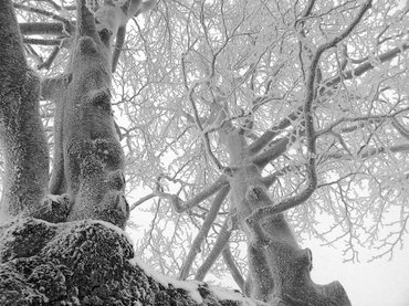 "Most tél van és csend és hó és halál"