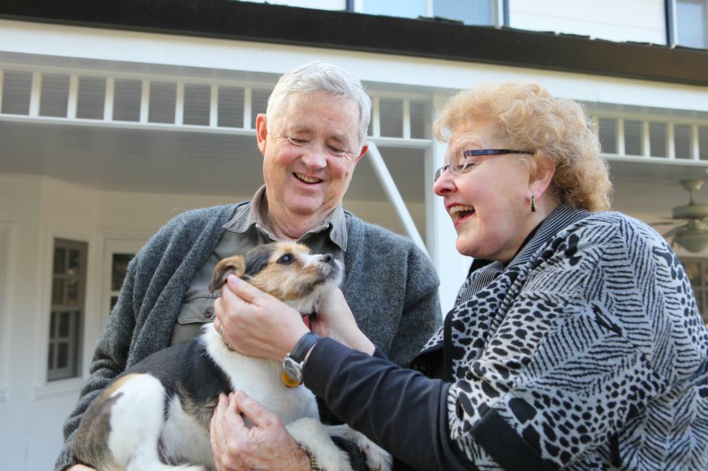 A kutyák, mint a longevity élharcosai