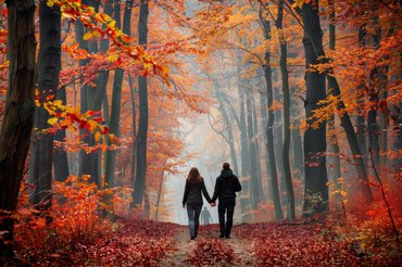 A parlagfűszezon elmúlt, az allergia maradt? Penészgomba okozhatja