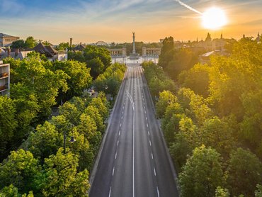 Mennyit ér egy városi fa? A zöldfelületek gazdasági hatásai
