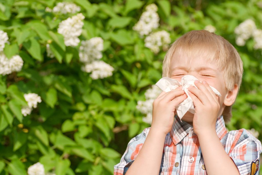 Tavaszi immunterhelés – ezért fontos a folyamatos támogatás