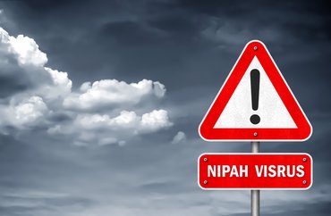 nipah virus