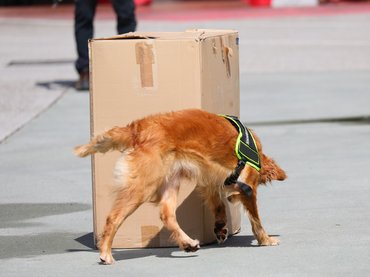 Szenvedélyes Juniális: van kiút a függőségből