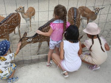 Jól sikerült az egészségpénztár jótékonysági akciója