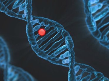 Lehet, hogy az izzadás védhet meg a Lyme-kórtól