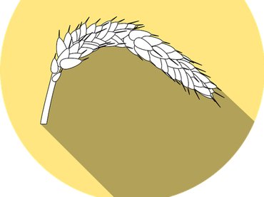 Változás előtt a gyógyszertárak termékköre