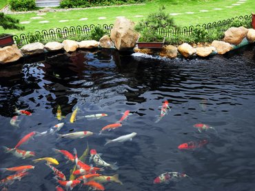 A kerti medencék valós veszélyei