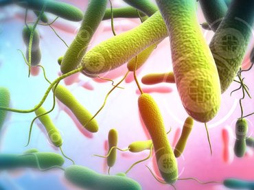 Kolerajárvány Afganisztánban: 18 ezer fertőzött, számos halott