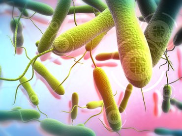 Kolera Lengyelországban: nőhet a járványveszély Európában?