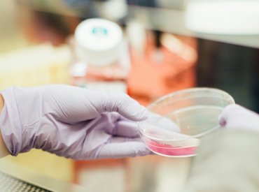 Kiderült, miért lett több száz ember rosszul Nagykőrösön