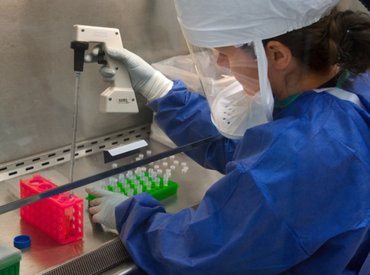 Enyhén emelkedik az örökítőanyag koncentrációja