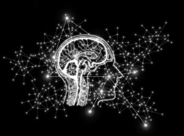 A lefagyasztott, felengedett emberi agyszövet nem halt el