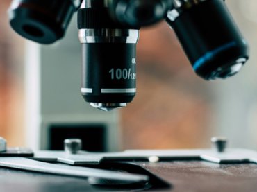 Szegedi harc az antibiotikum-rezisztens baktériumok ellen