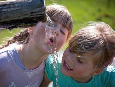 Elkerülte a járvány az Erzsébet-táborokat