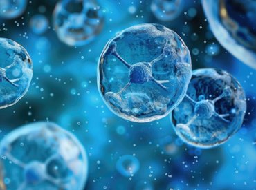 Tisztogatásba kezd a Google is